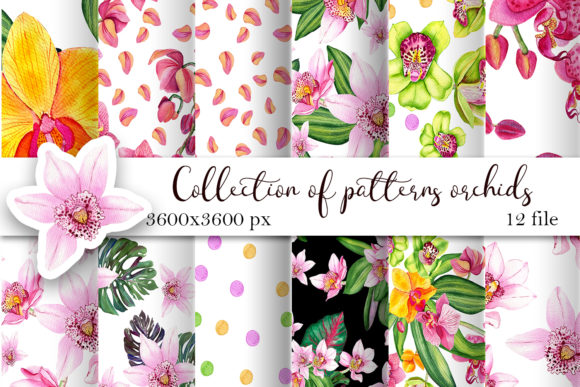 Download Orchid Watercolor Digital Paper - Watercolor Collection