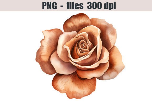 Download Bronze Rose Watercolor Clipart - Watercolor Collection