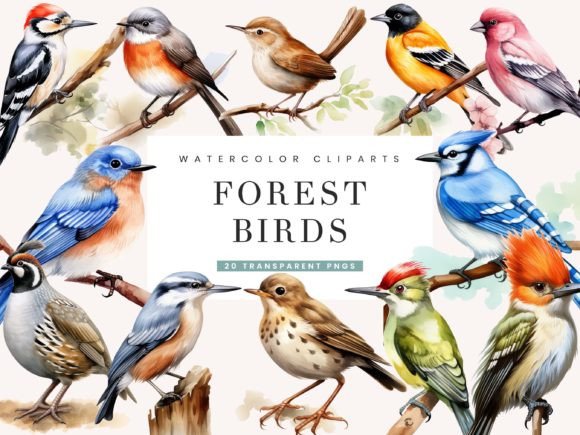 Download Watercolor Forest Birds Clipart Bundle - Watercolor Collection