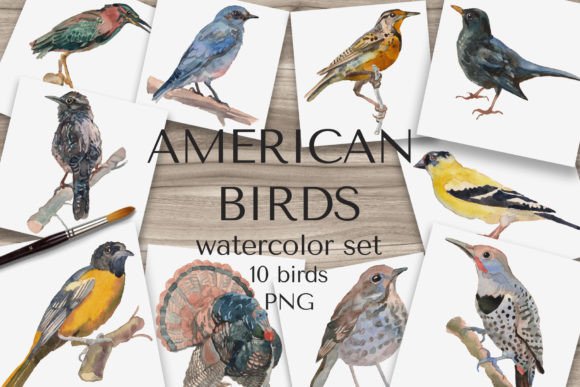 Download "American Birds" Watercolor Set - Watercolor Collection