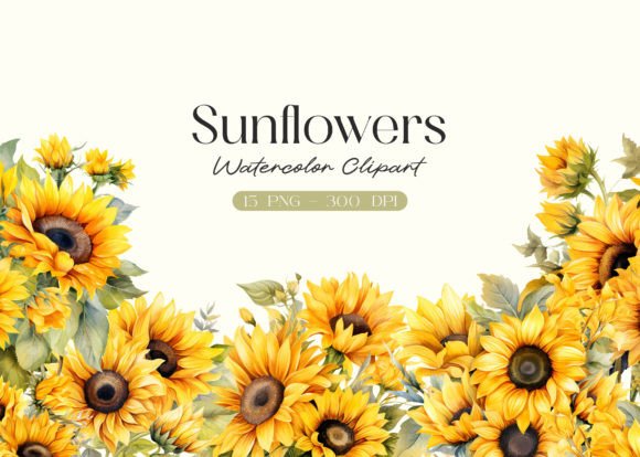 Download Watercolor Sunflowers Clipart - Watercolor Collection