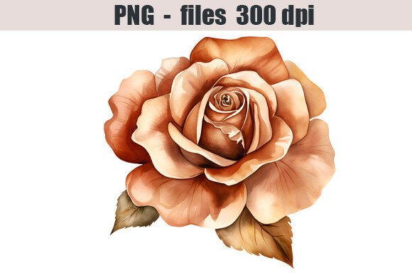 Download Bronze Rose Watercolor Clipart Graphic - Watercolor Collection