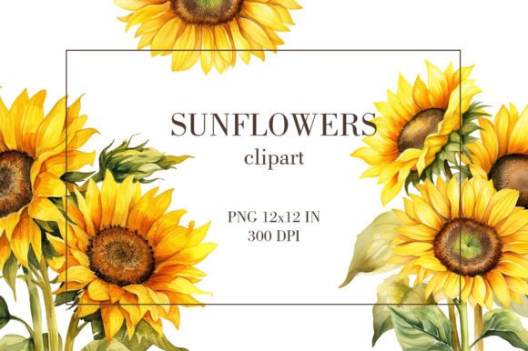 Download Watercolor Sunflowers Clipart PNG - Watercolor Collection
